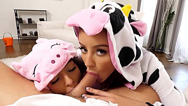 Asian temptresses tease with sloppy blowjobs and raunchy handjobs